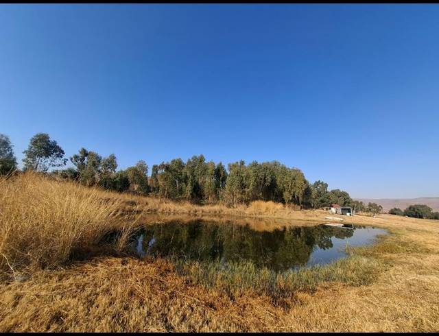 FARM FOR SALE IN LYDENBURG RURAL